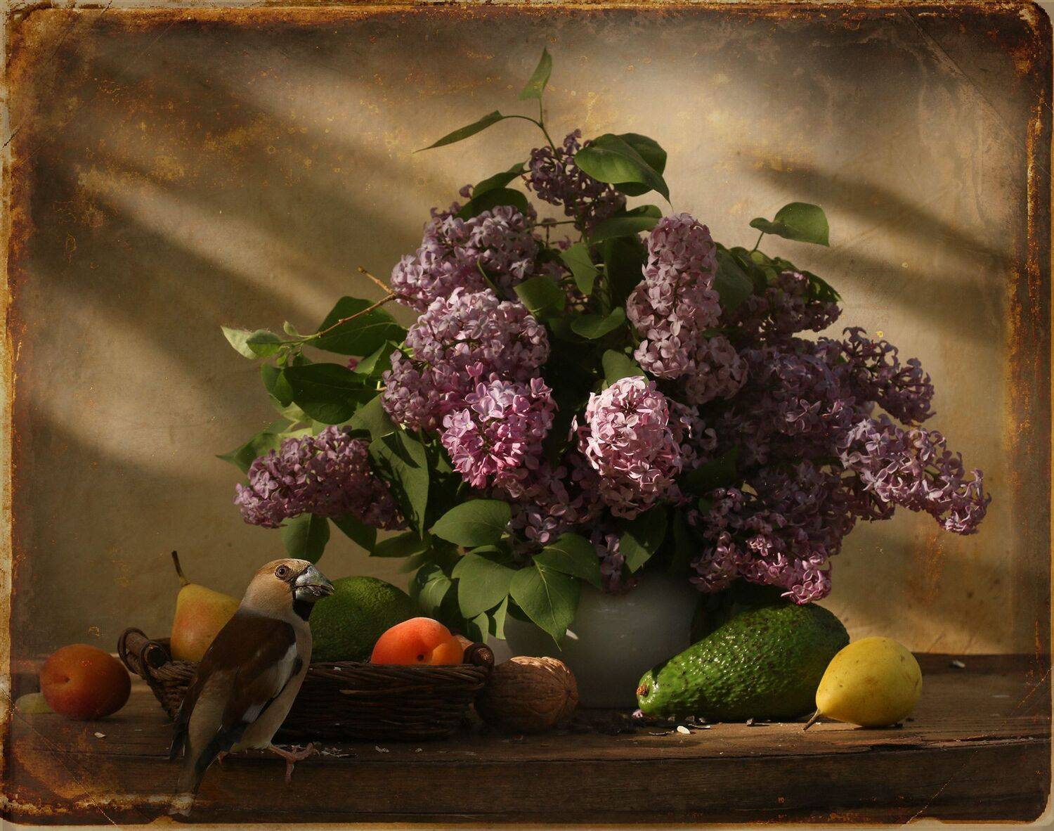 дубонос, Хромушин Олег