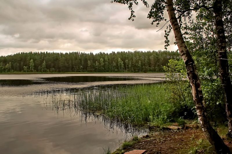 Озеро лесное... фото превью