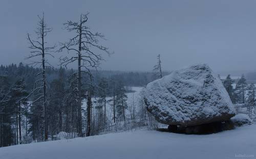 На зимних просторах Карельского перешейка