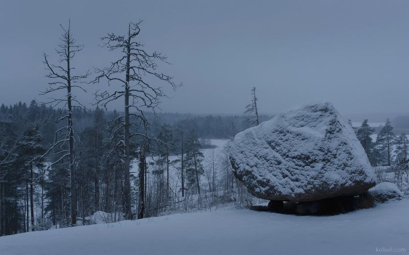 ленинградская область, долина реки смородинки, сейд, выборг, грот, скалы, зима, зимний лес, карельский перешеек На зимних просторах Карельского перешейка фото превью