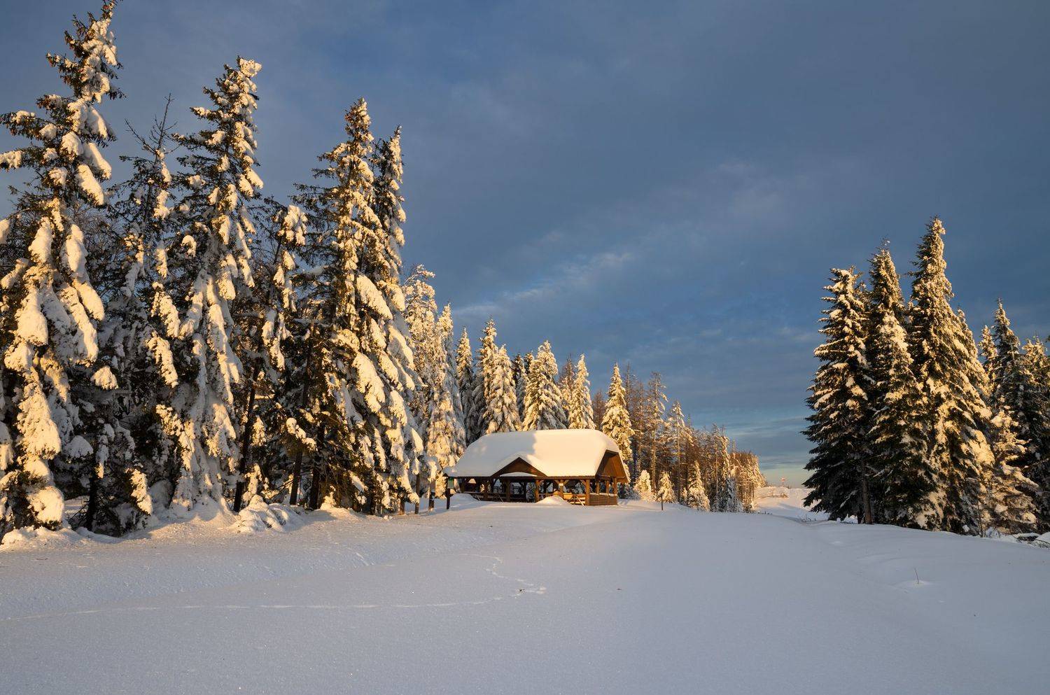,  Mirosław Pruchnicki