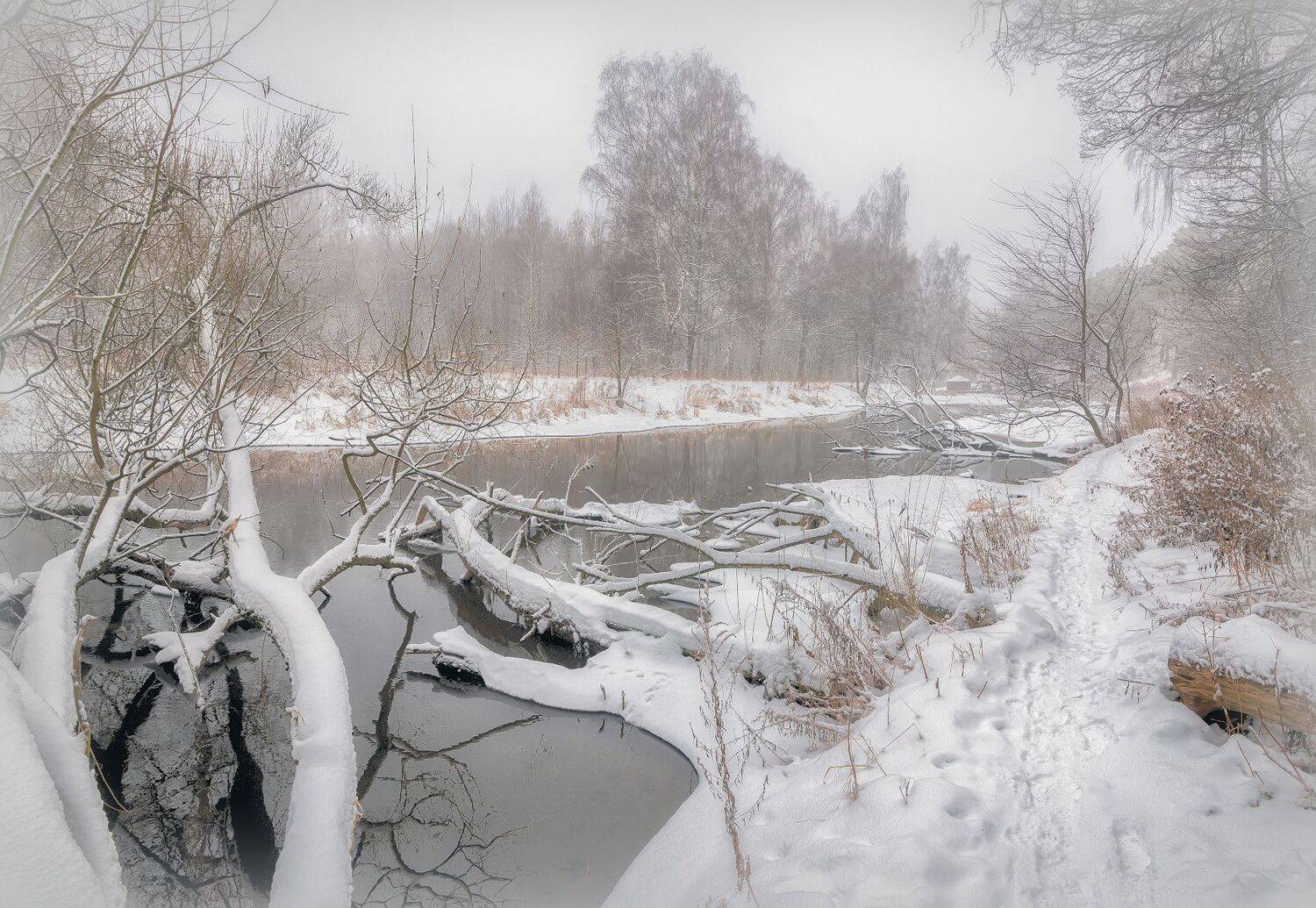 река, снег, лес, зима, Сергей Аникин