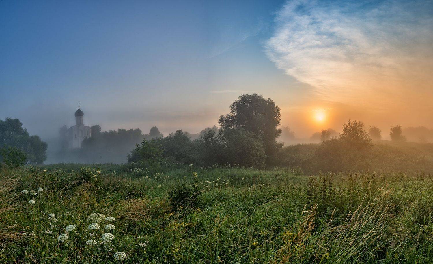, Лариса Николаевна Дука