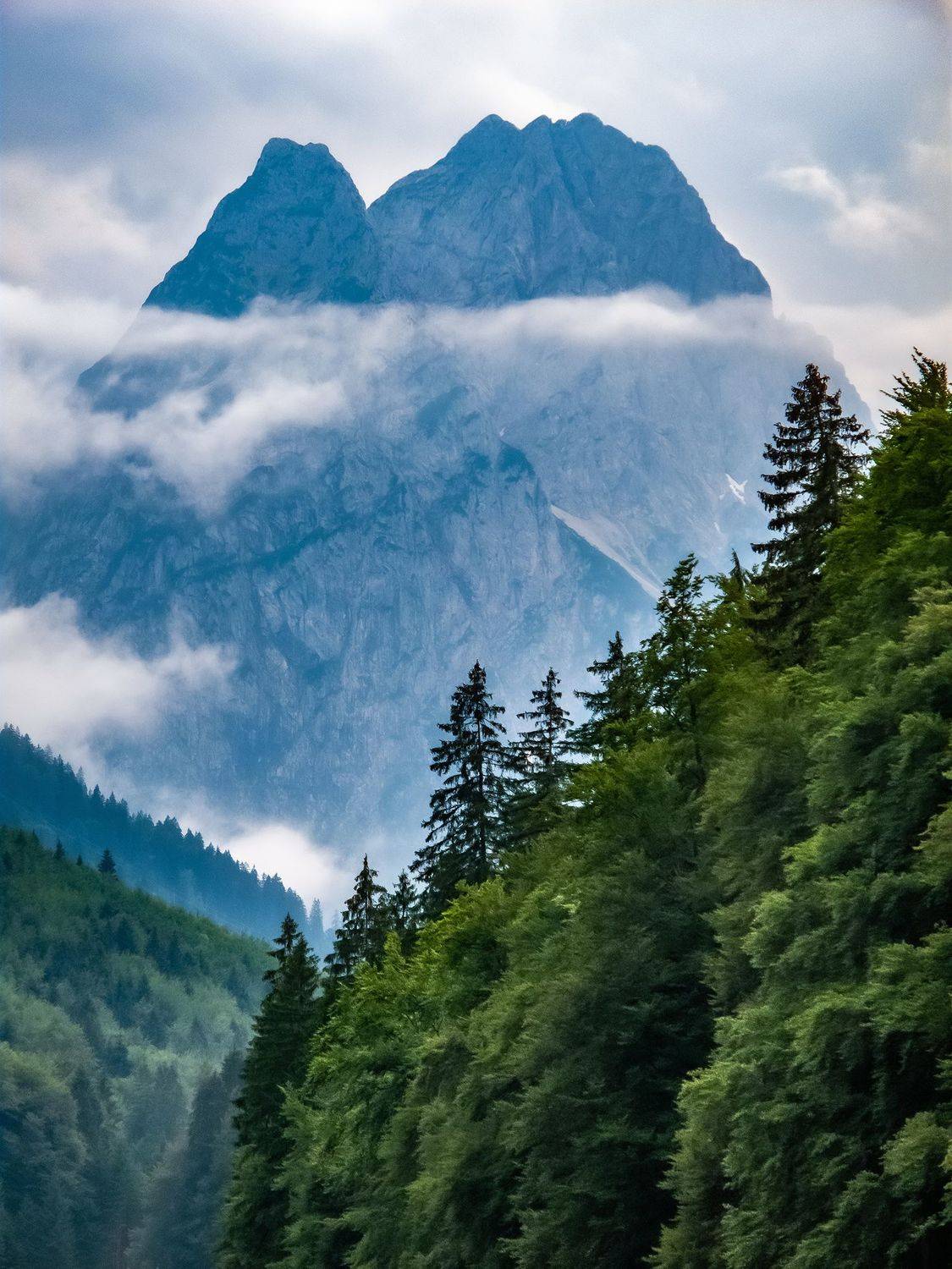 , Виктор Волынский