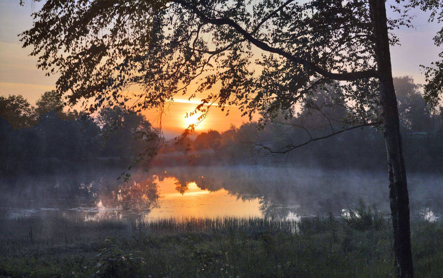 рассвет , лето , пруд , лес , Александр Свистков