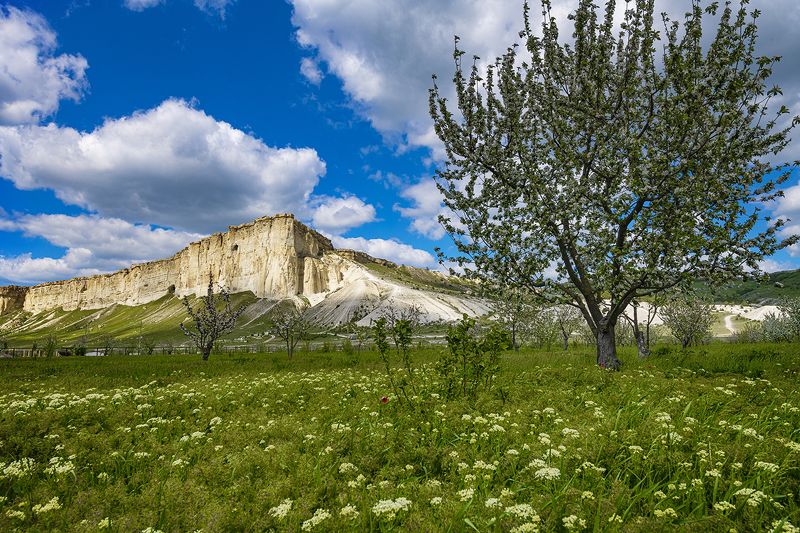 Белая скала фото превью