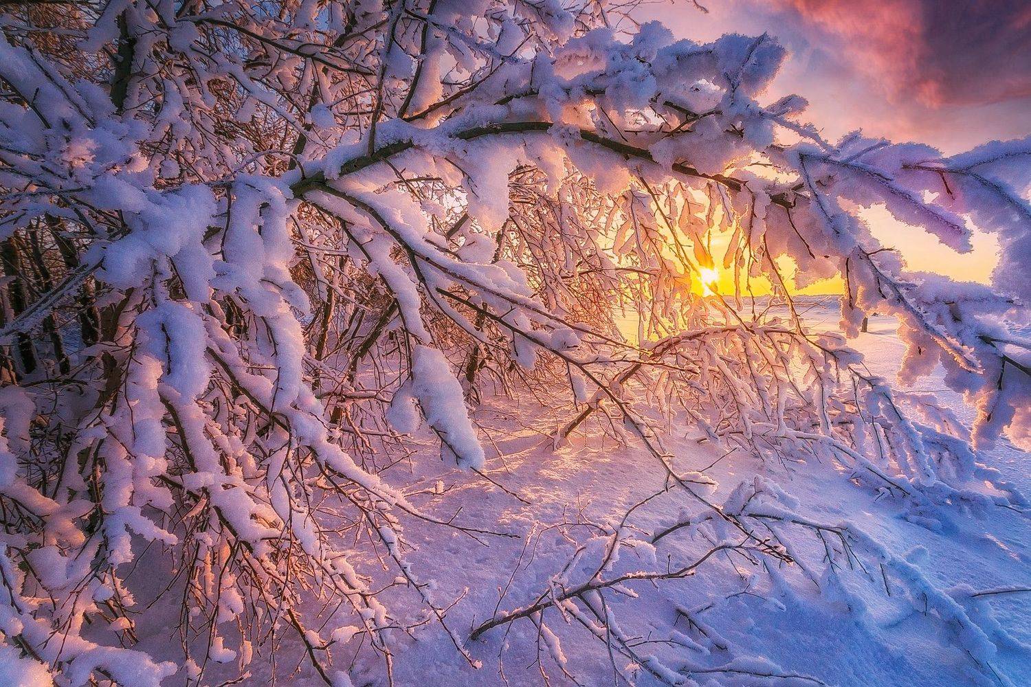 , Павел Сагайдак