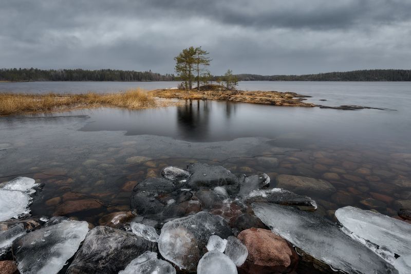зимние сокровища фото превью