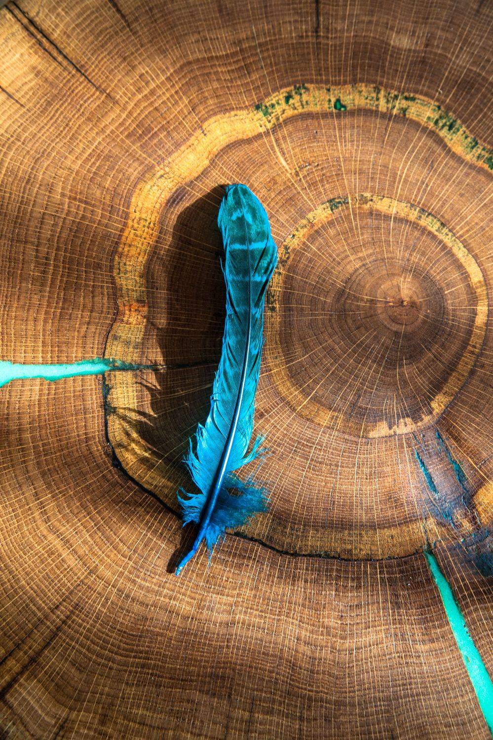 перья, дерево, фактуры, Сагдиева Эльвира