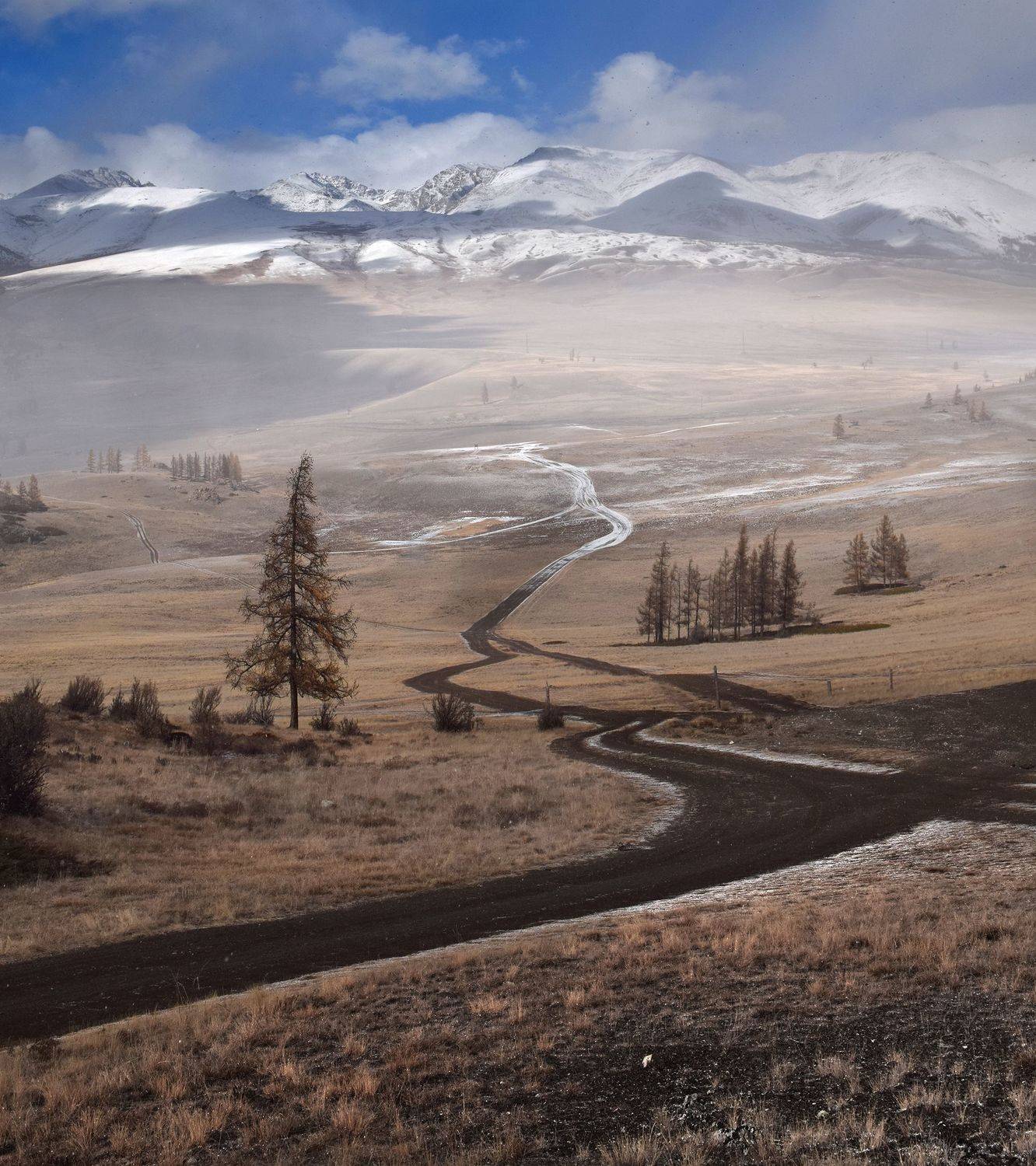 , Светлана Крат