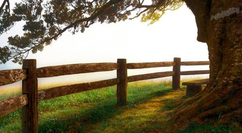 Misty Morning at Millaa Millaa Lookout