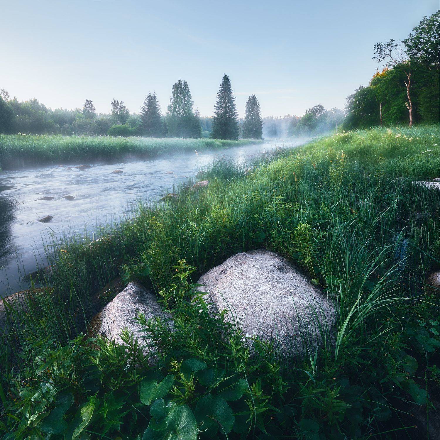 , Кононов Антон