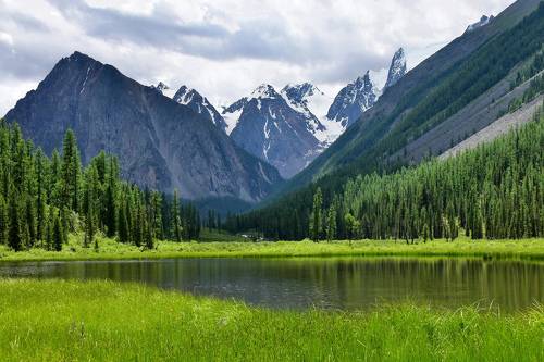 Шавлинский заказник