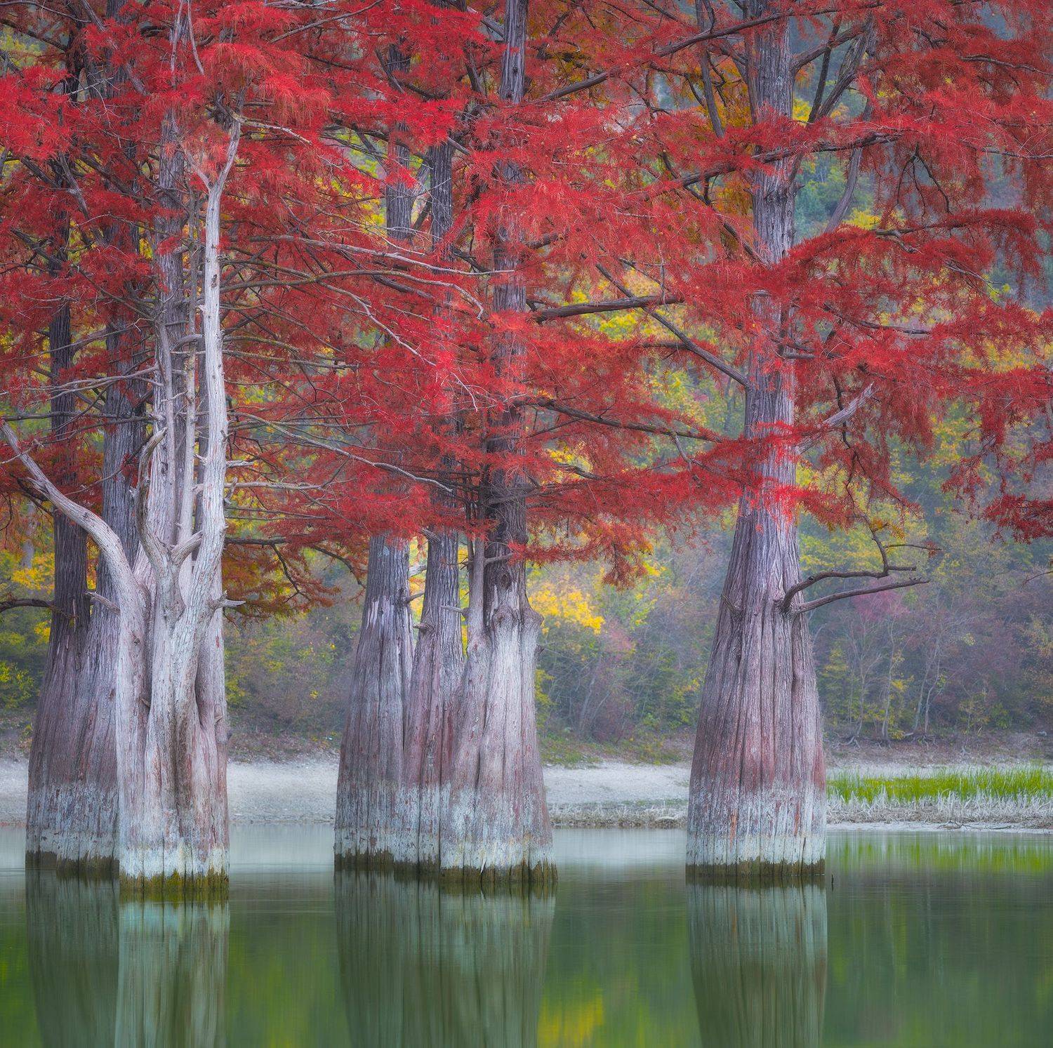 , Костенко Александр