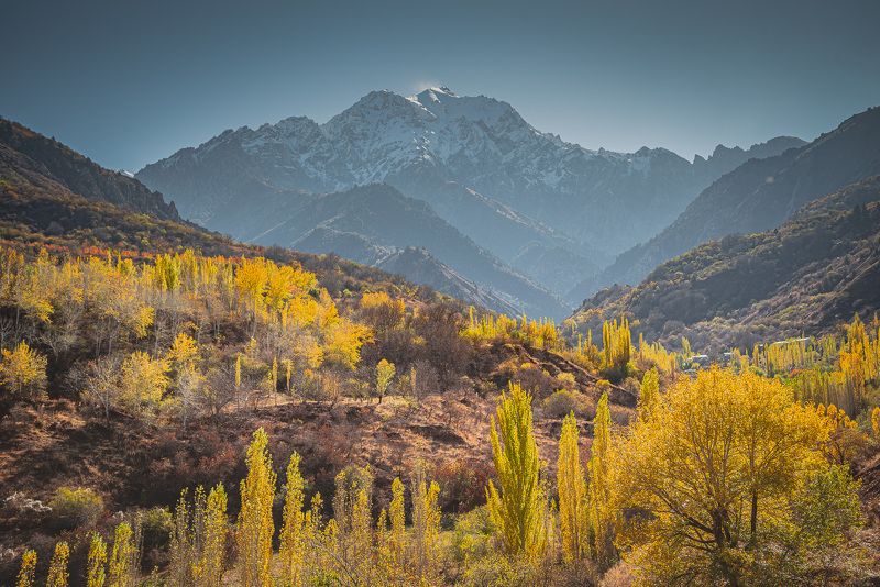 узбекистан, чимган  фото превью