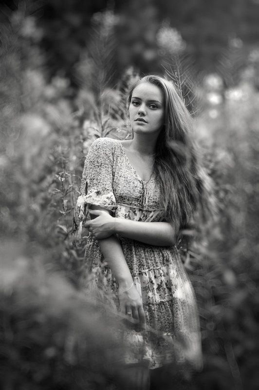 Лето фото превью