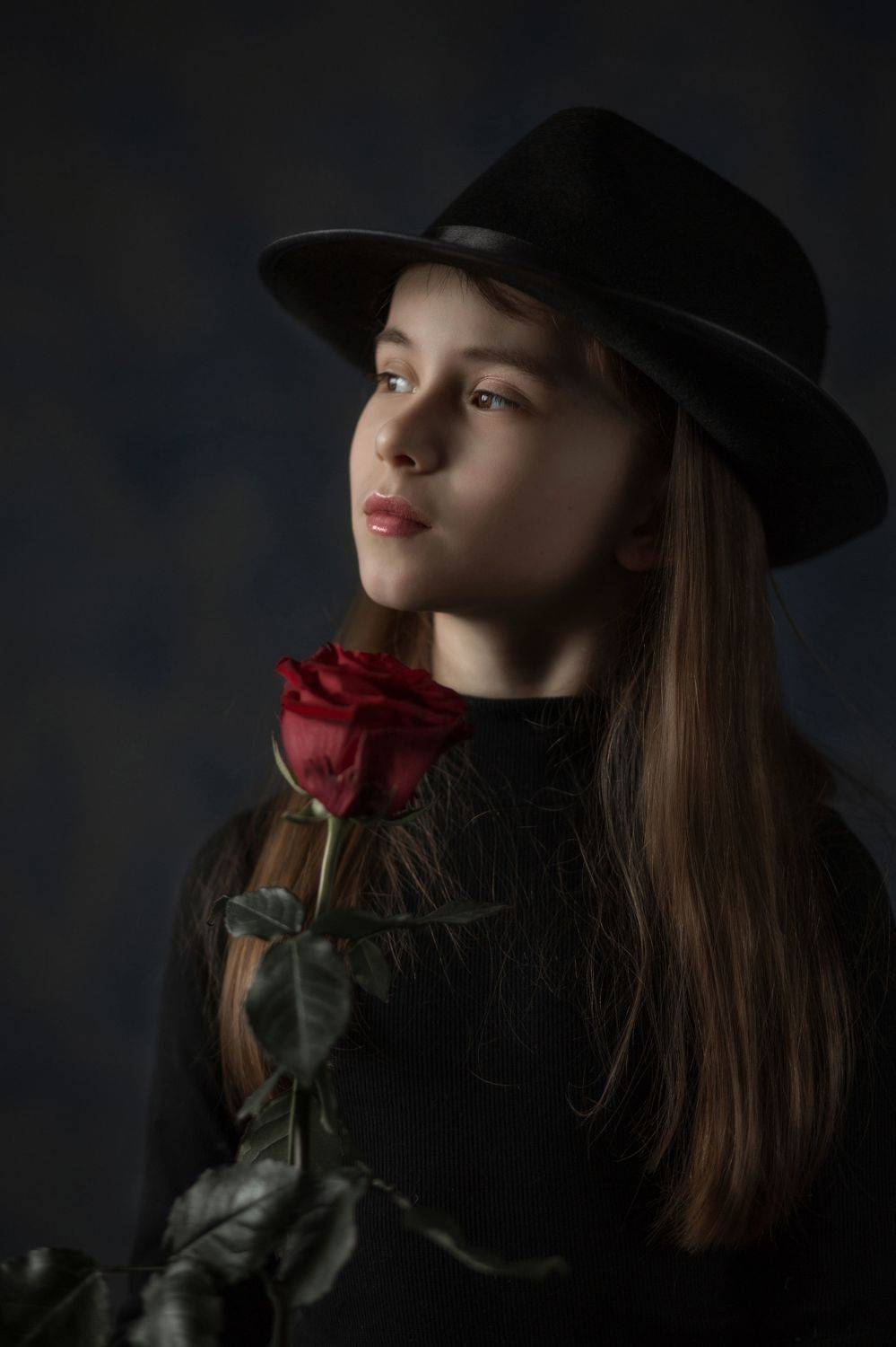 , Сергей Бибиков