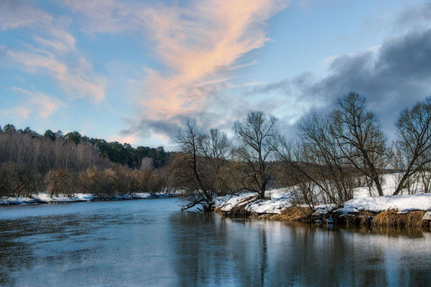 , Кунин Илья