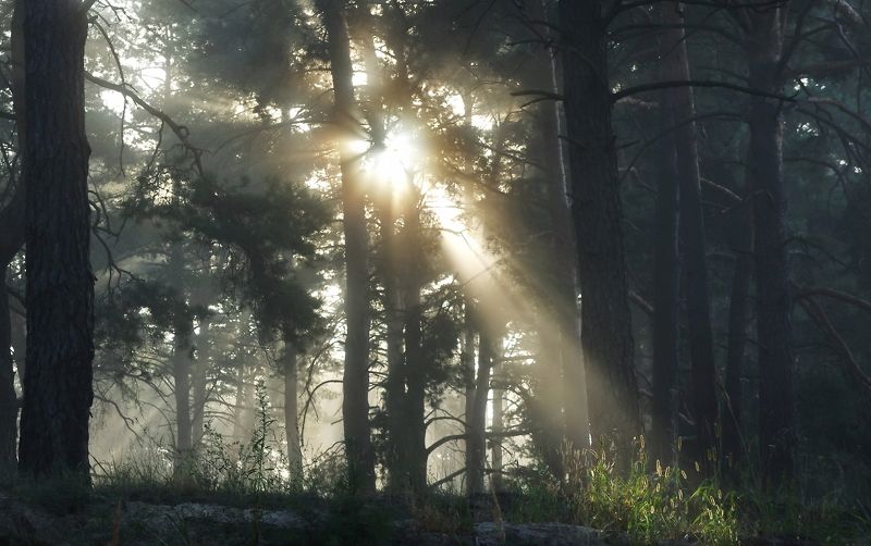 Немного света фото превью