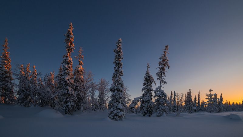 север, кольский, хибины, заполярье, Северное утро фото превью