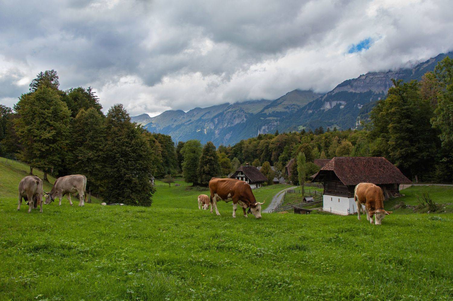 , Вадим Городницкий