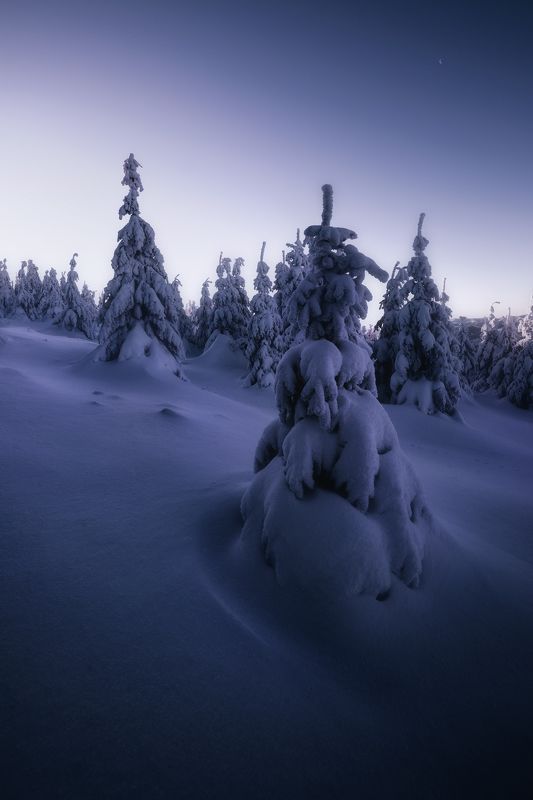 #slovakia #nikon #velkychoc #manfroto  Winter sculptures  фото превью