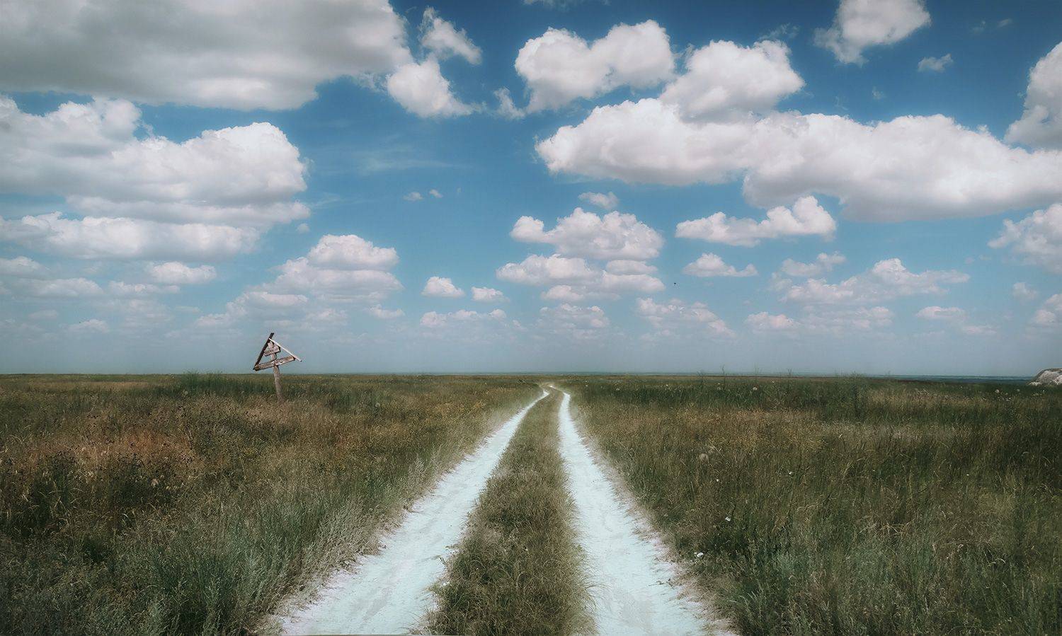 , Алиева Татьяна