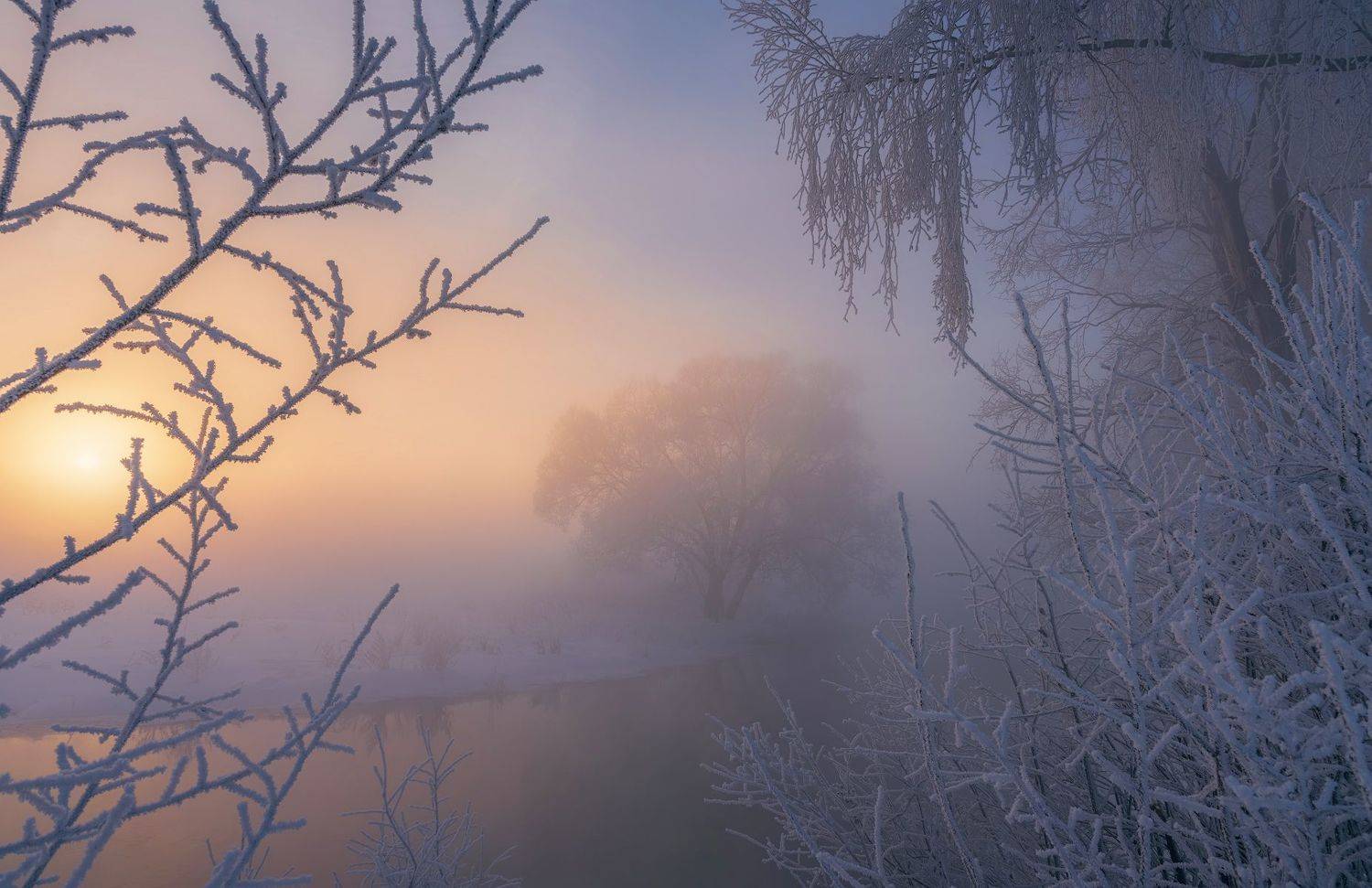 истра, рассвет, зима, туман, Левыкин Виталий