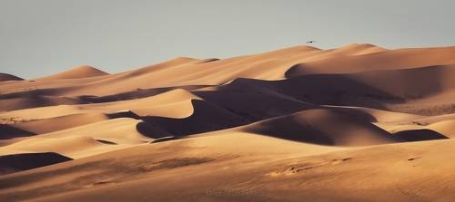 Поющие пески