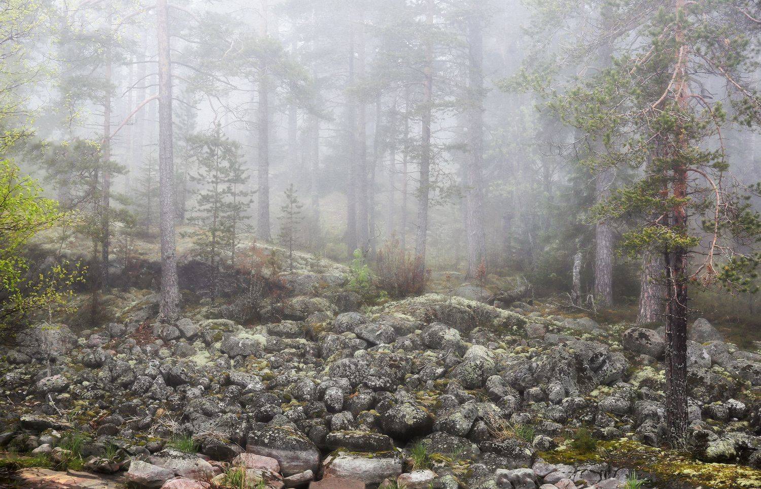 Карелия, туман, Ладожские шхеры, Галина Хвостенко