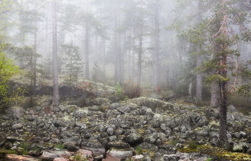 Карелия, туман, Ладожские шхеры Ладожские туманы фото превью