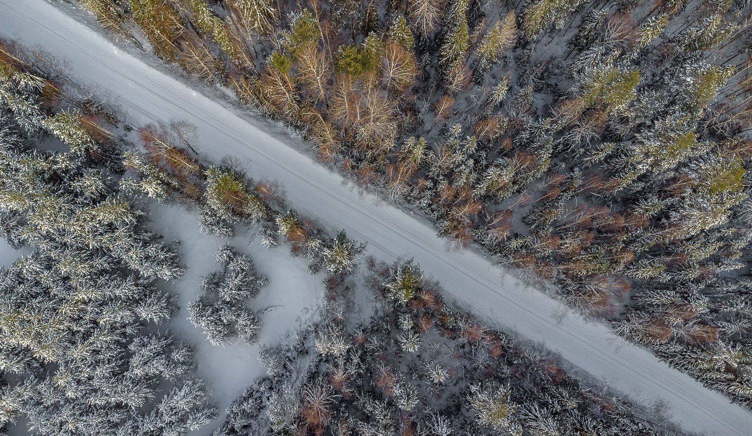 , Шуплецов Алексей