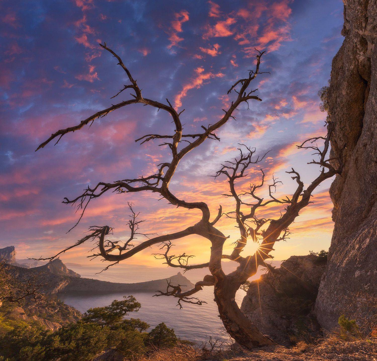 , Костенко Александр