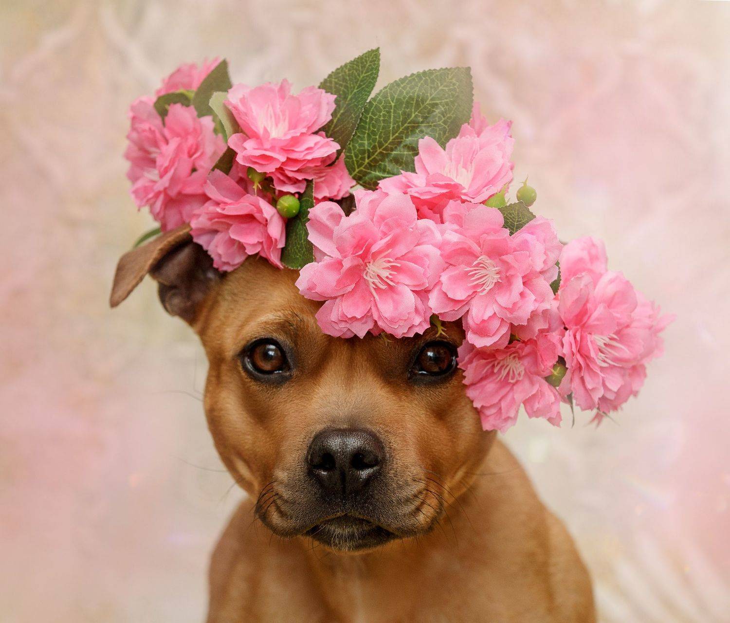 , Шерскова Мария