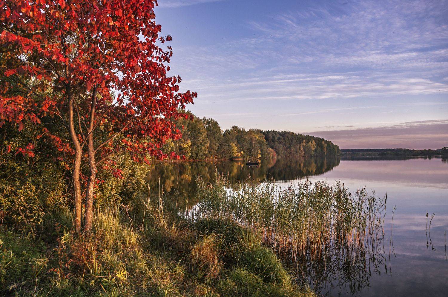 лето., Александр Иванович