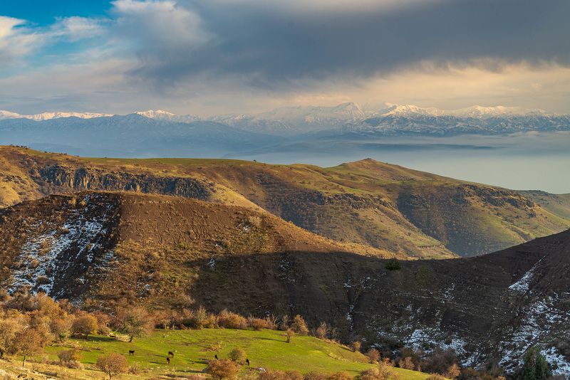 узбекистан  фото превью