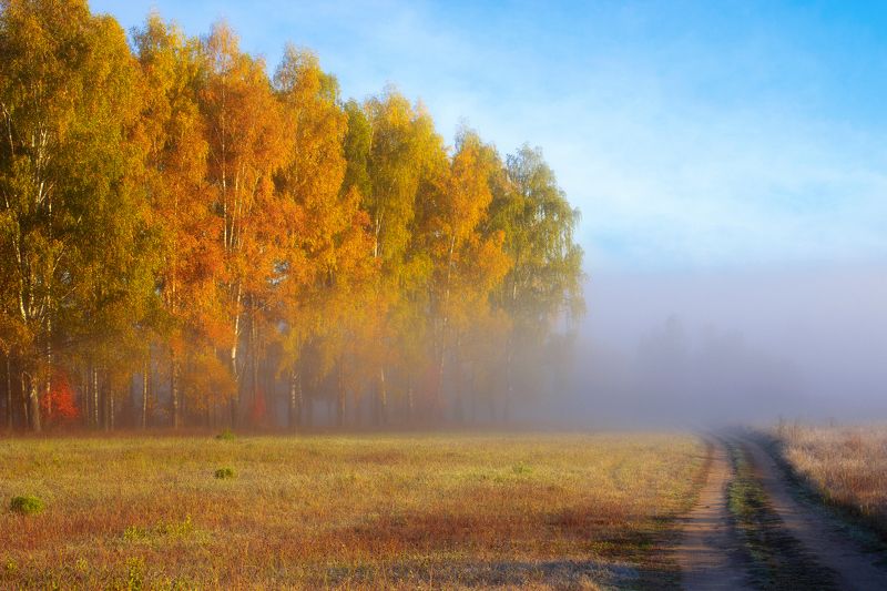 Осенняя дорога фото превью