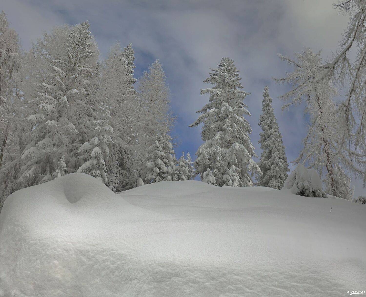 swiss,bettmeralp,зима,швейцария, Николай Матвеев