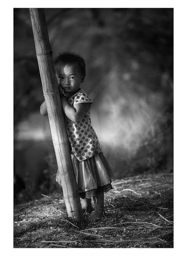 Rice&Icon of Vietnam