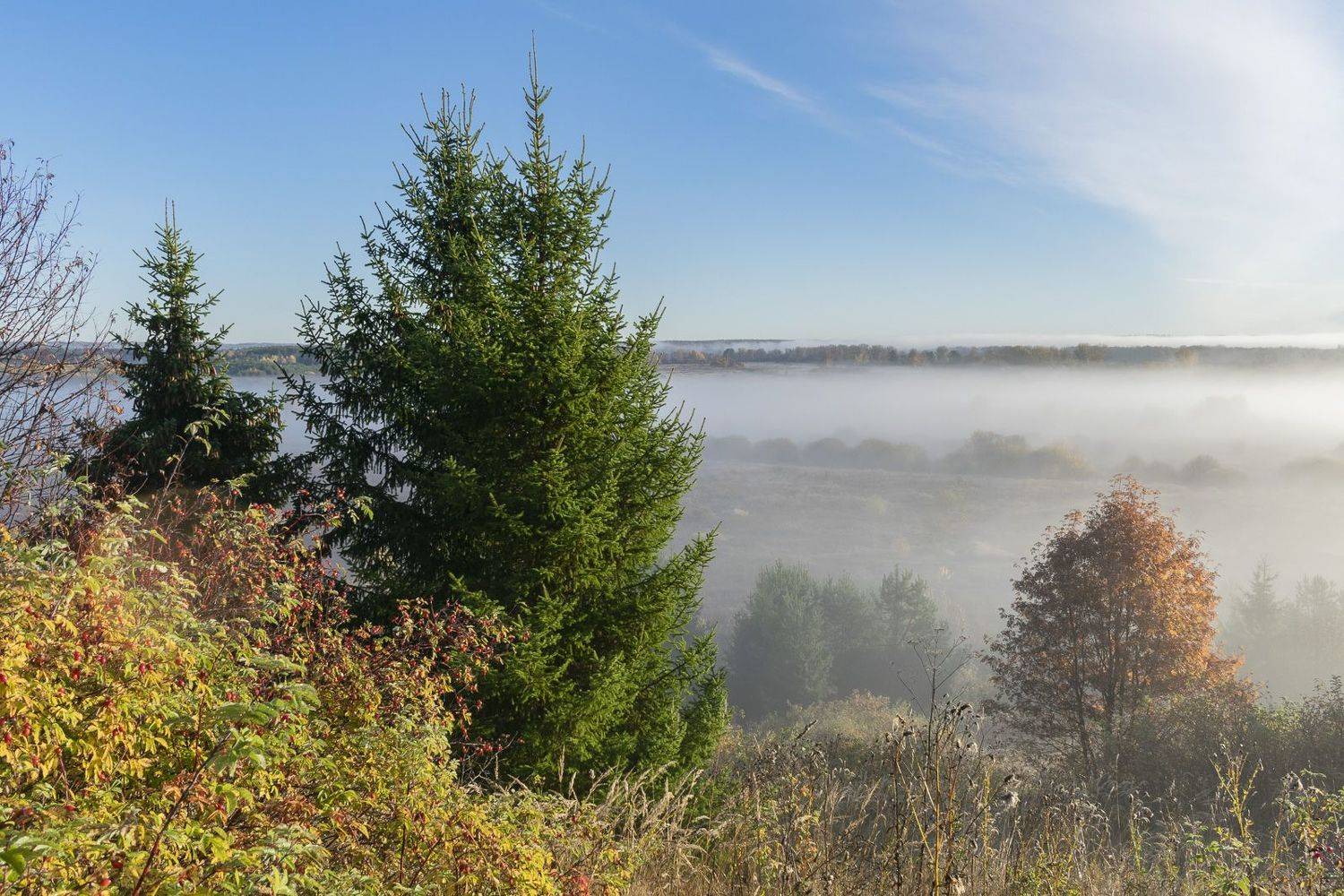 , Галина Луценко