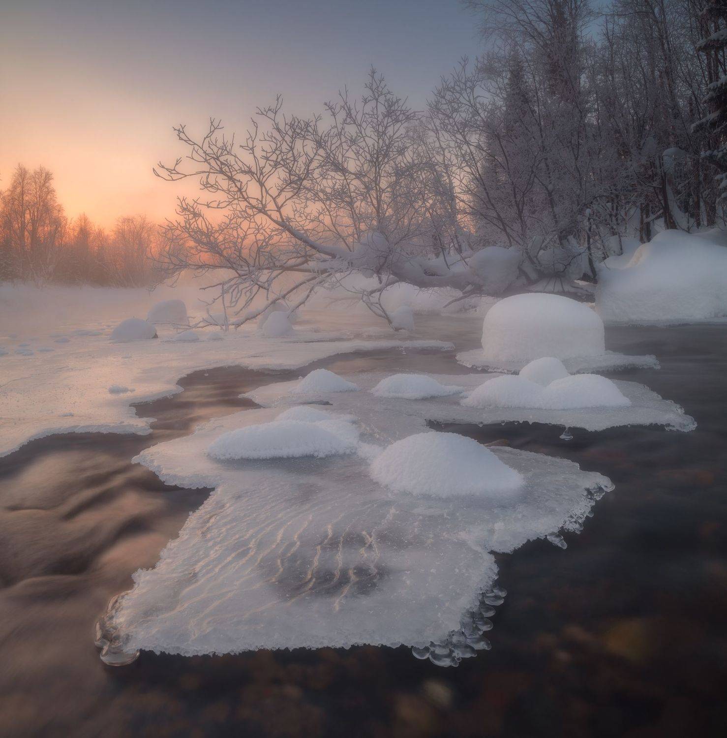 , Виталий Истомин