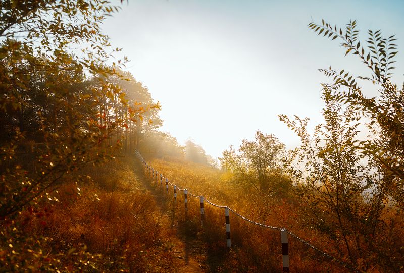 Осеннее утро фото превью