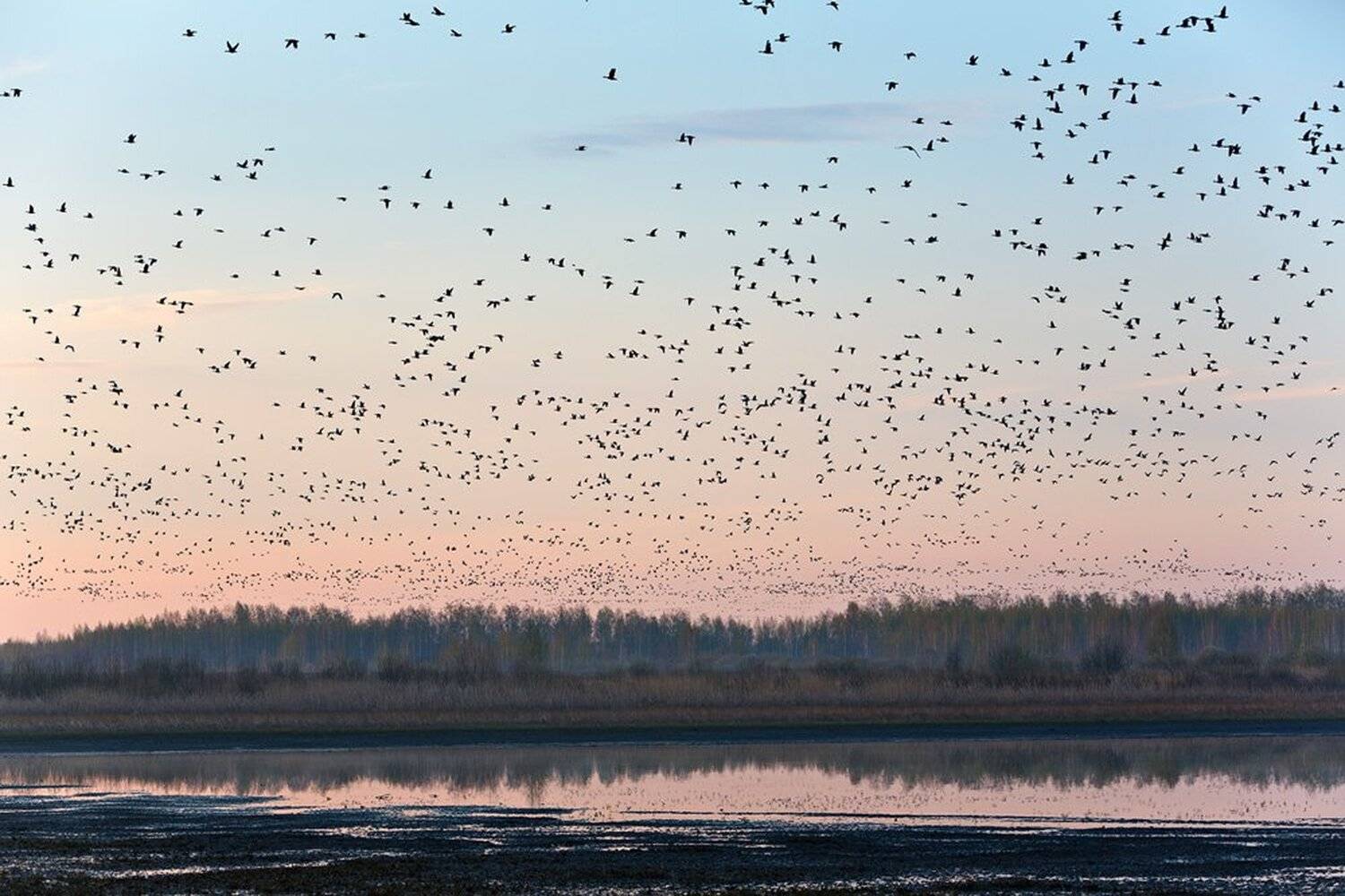 , Юрий Сорокин