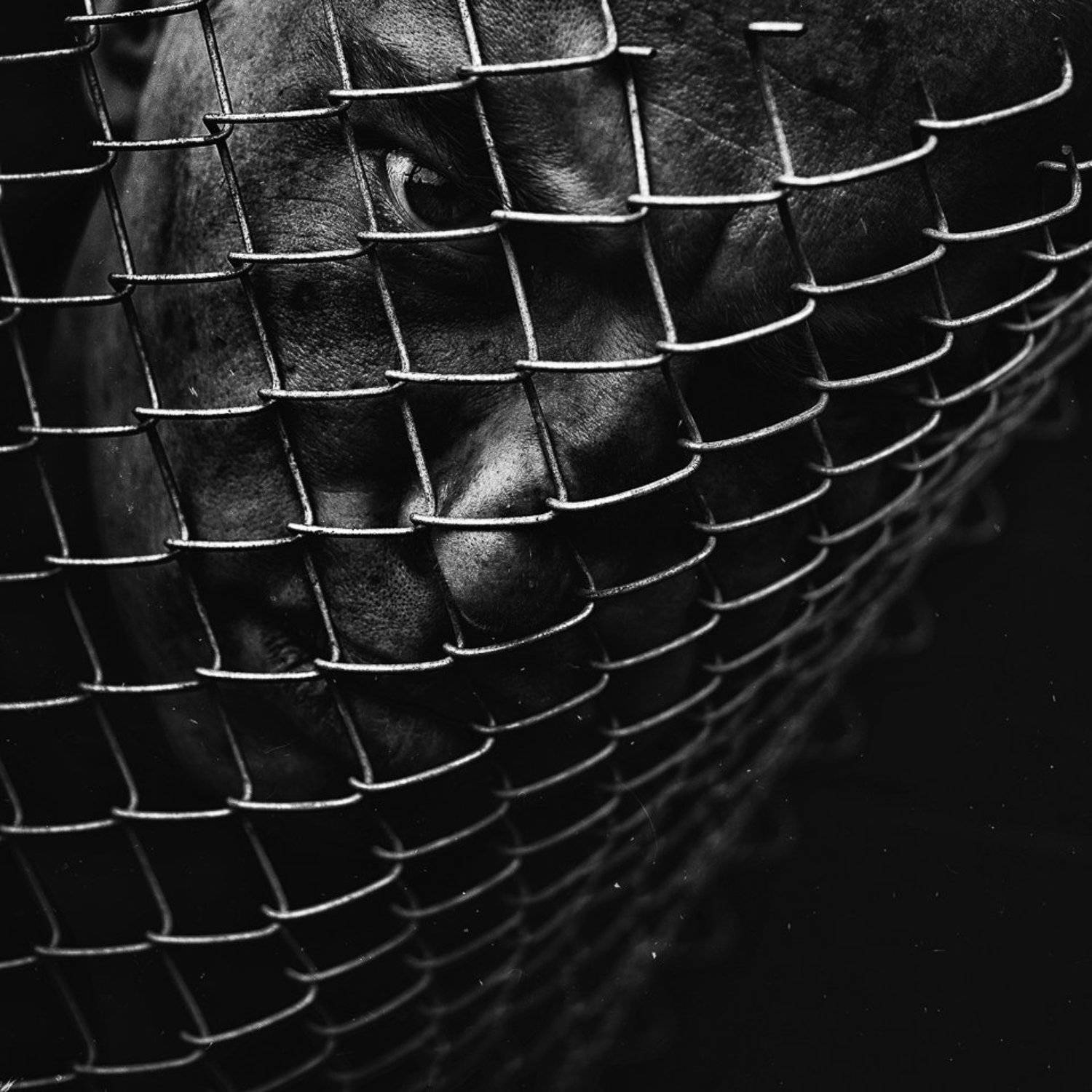 Darkness, Light, Man, Photography, Portrait, Slave, Rafał Kurs