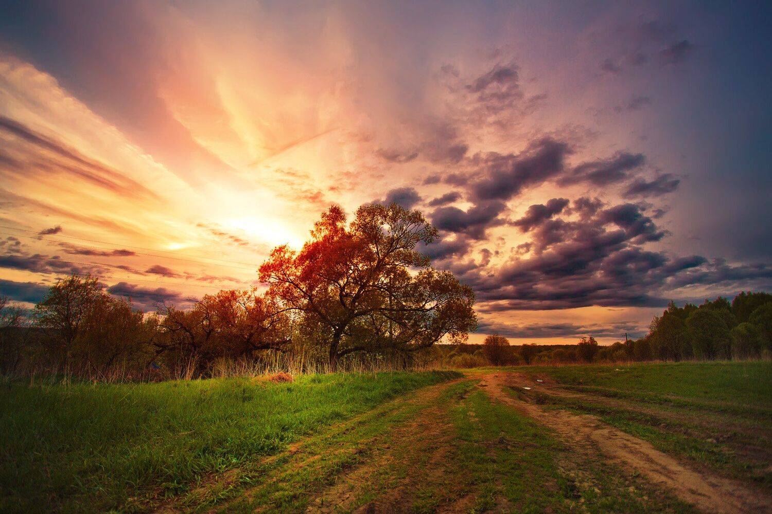 Закат, Пейзаж, Svetlana Golicyna