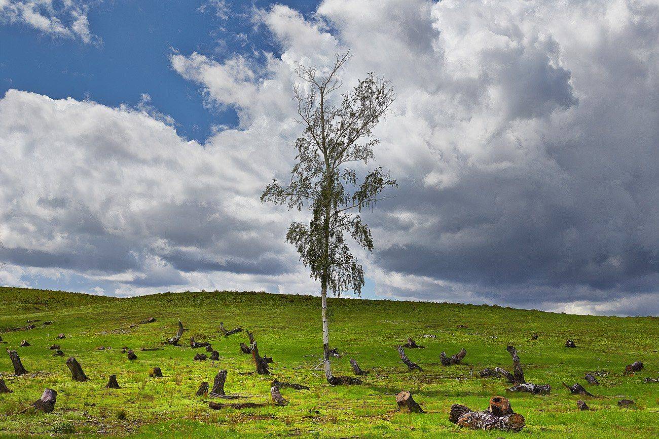 2015г., Весна на Урале, Качурин, Качурин алексей, Оренбургская область, Орск, Качурин Алексей
