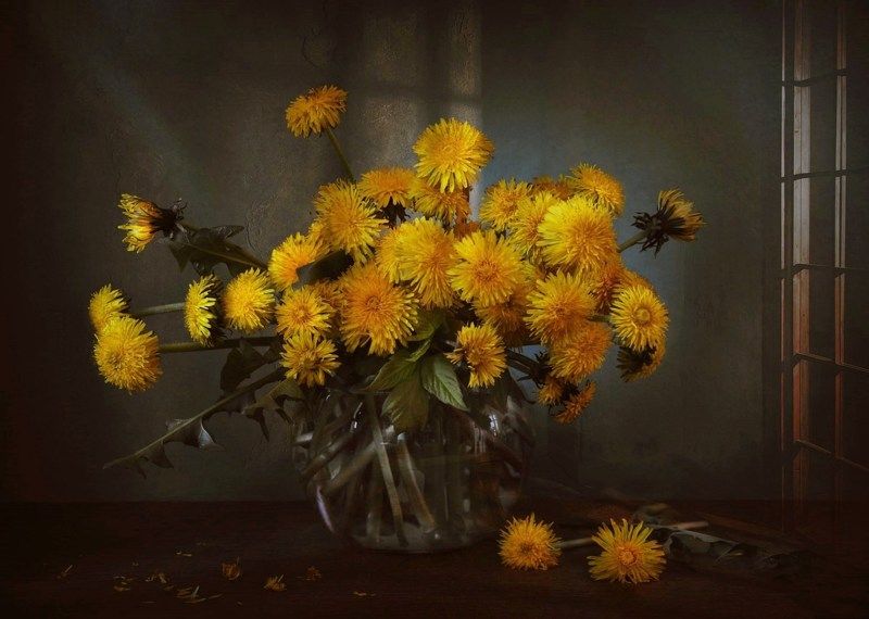 С одуванчиками фото превью