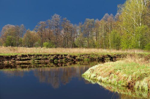 Pro 2 мая в Мещёре...