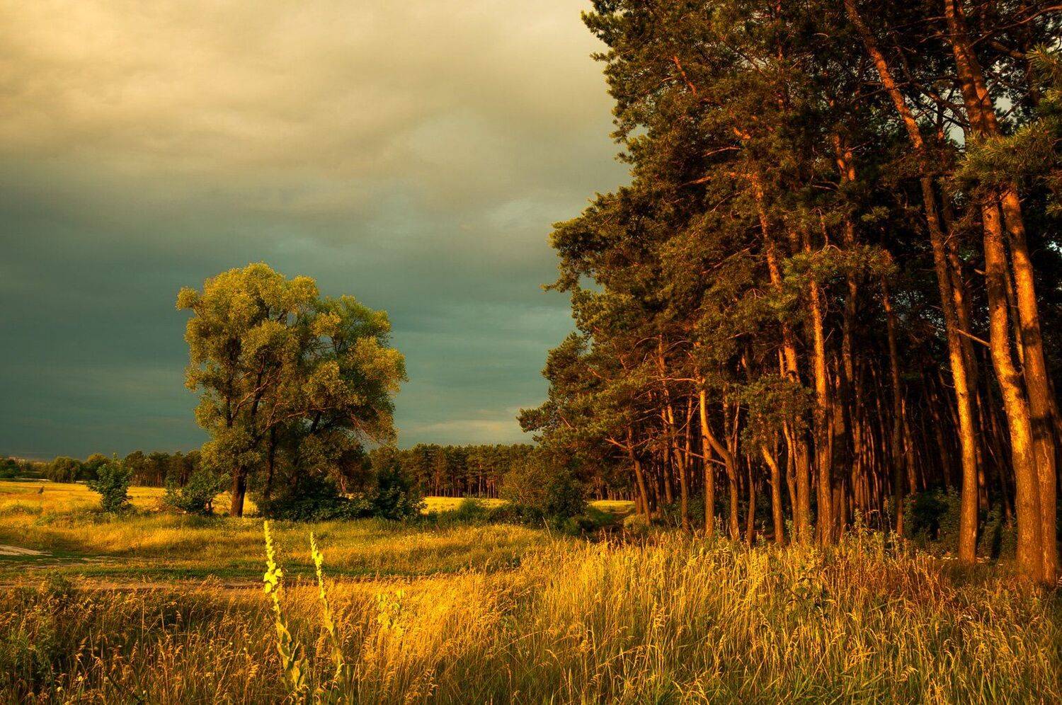 , Валерий Смирнов