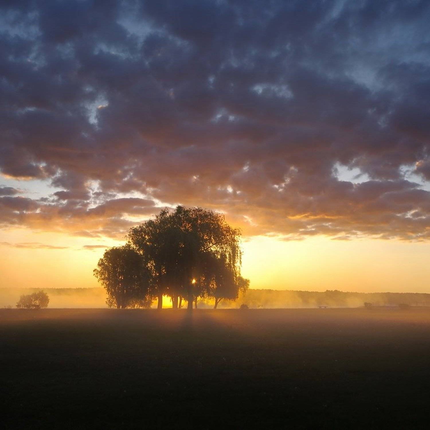 , Сергей Шляга